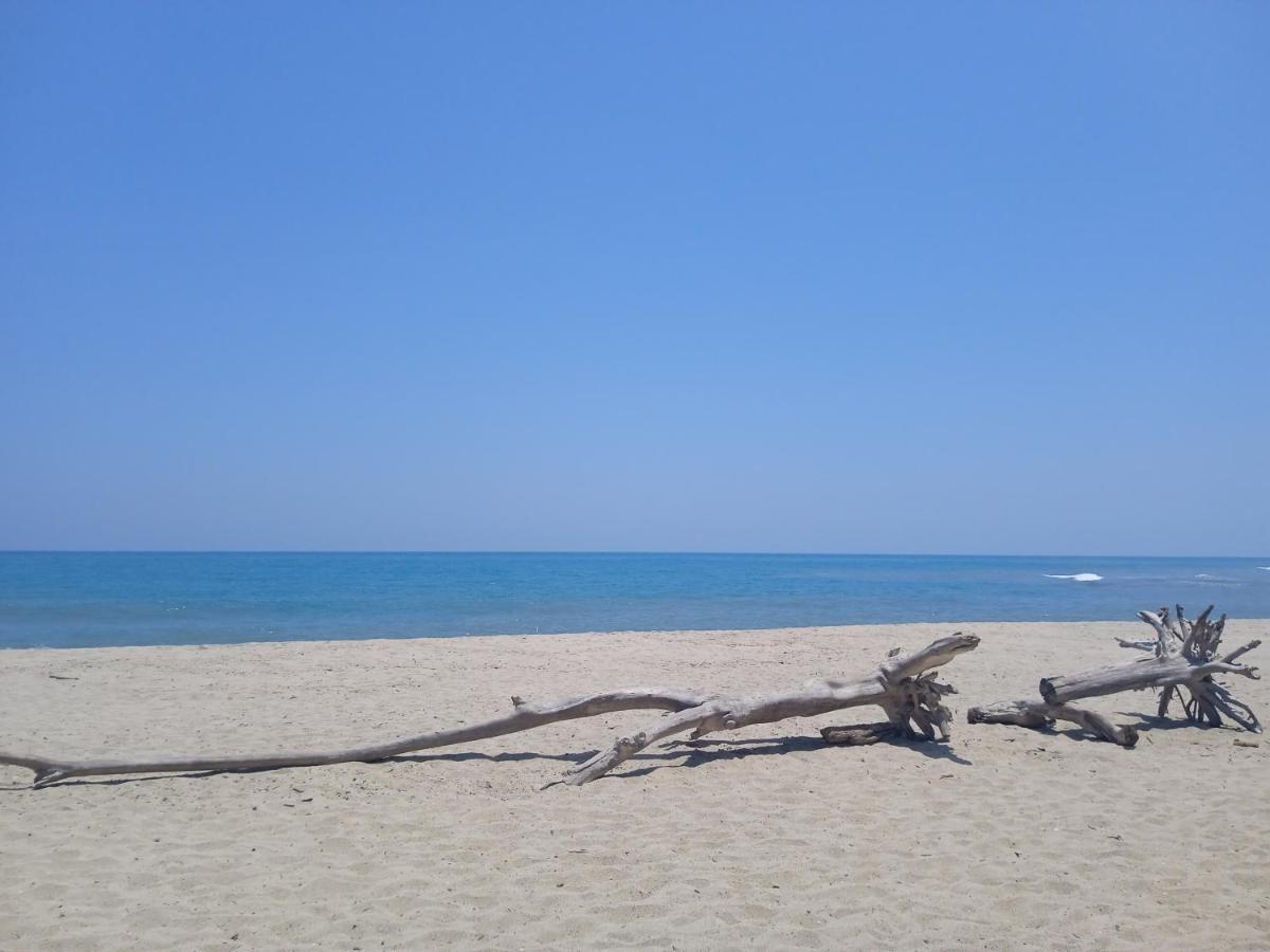Bob Marley Beach Guachaca Bagian luar foto