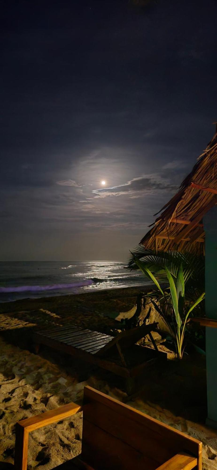 Bob Marley Beach Guachaca Bagian luar foto